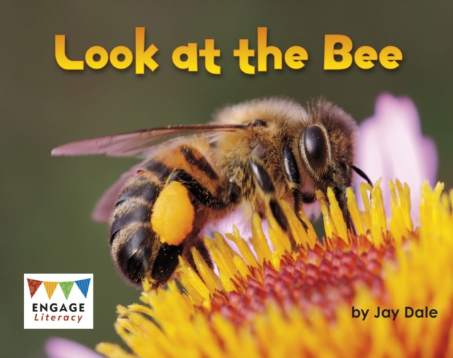 Look at the Bee, PDF eBook