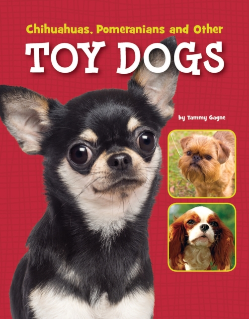 Chihuahuas, Pomeranians and Other Toy Dogs, PDF eBook