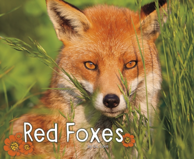 Red Foxes, PDF eBook