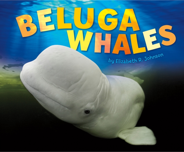 Beluga Whales, PDF eBook