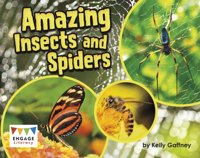 Amazing Insects and Spiders, PDF eBook