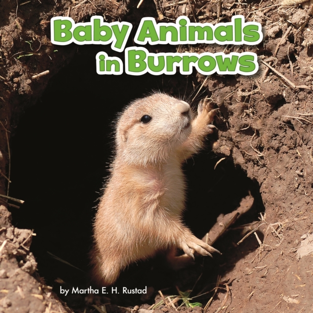 Baby Animals in Burrows, PDF eBook
