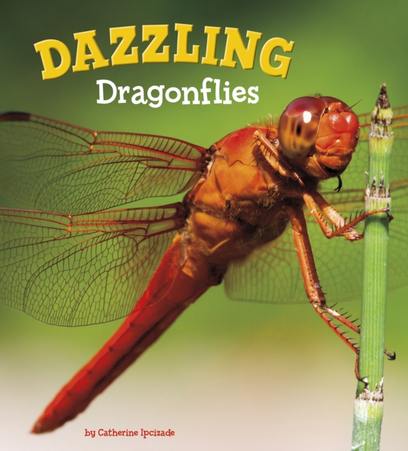 Dazzling Dragonflies, PDF eBook