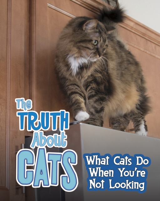 The Truth about Cats : What Cats Do When You're Not Looking, Hardback Book
