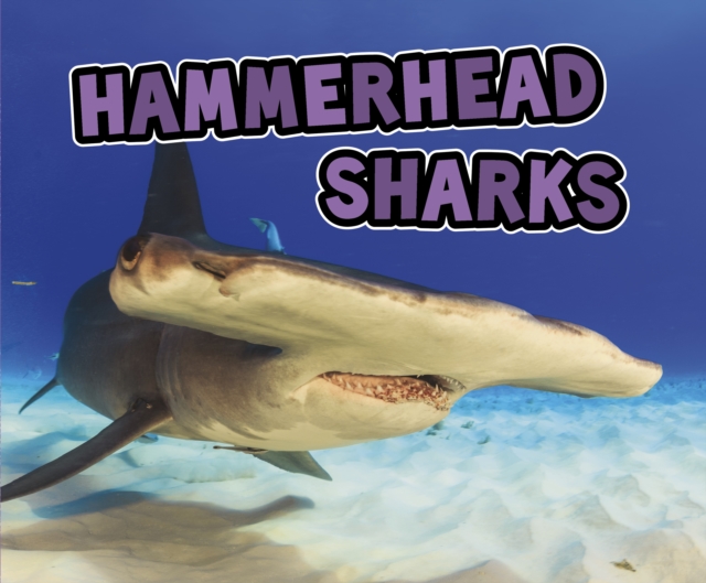 Hammerhead Sharks, PDF eBook