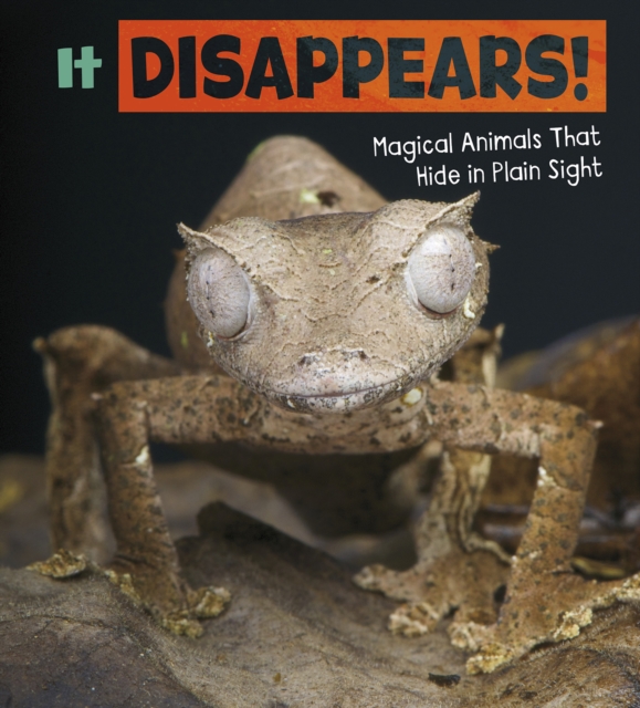 It Disappears! : Magical Animals That Hide in Plain Sight, PDF eBook
