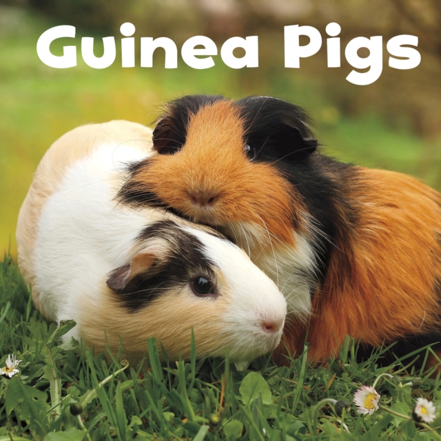 Guinea Pigs, PDF eBook