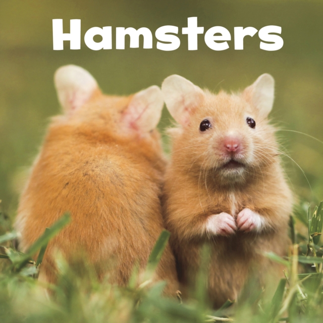 Hamsters, PDF eBook