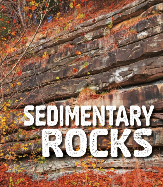 Sedimentary Rocks, Paperback / softback Book