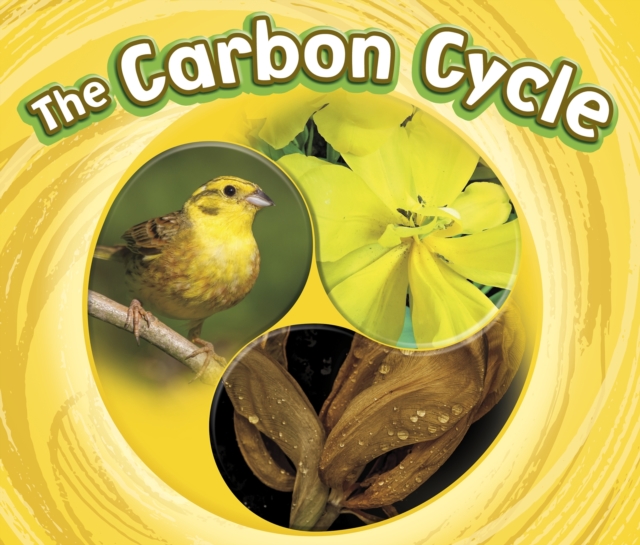 The Carbon Cycle, PDF eBook