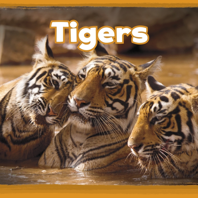 Tigers, PDF eBook