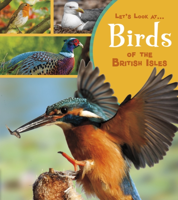 Birds of the British Isles, PDF eBook