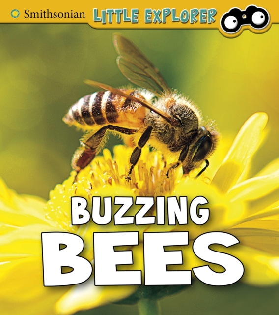 Buzzing Bees, Paperback / softback Book