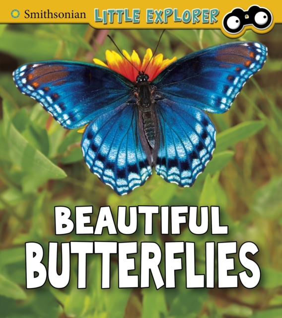 Beautiful Butterflies, Paperback / softback Book