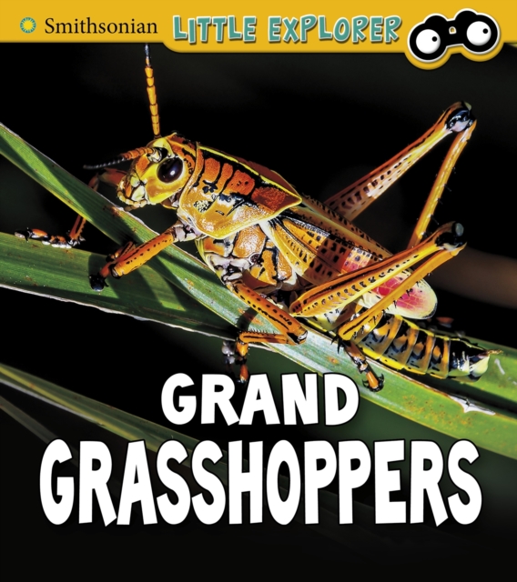 Grand Grasshoppers, Paperback / softback Book