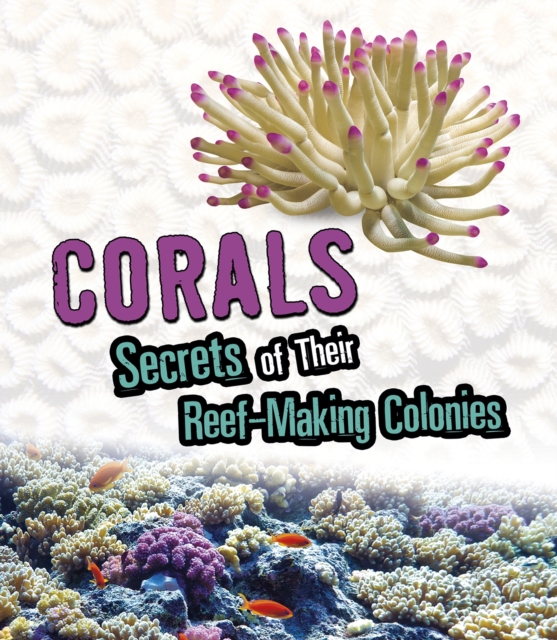 Corals : Secrets of Their Reef-Making Colonies, Paperback / softback Book