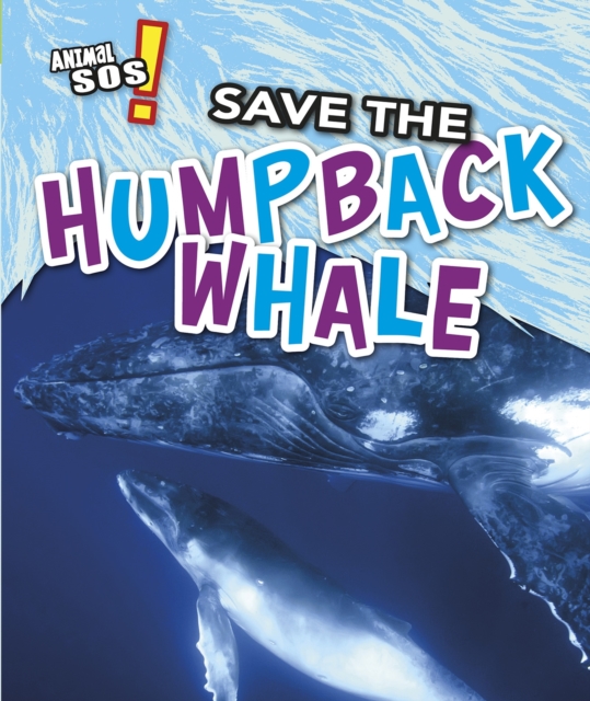 Save the Humpback Whale, Hardback Book