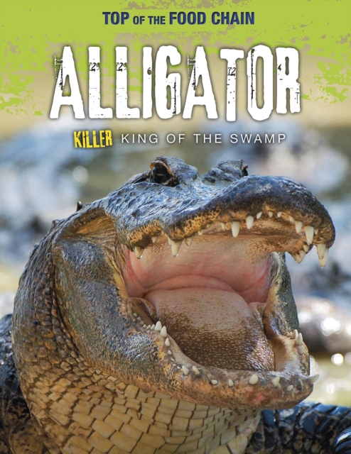 Alligator : Killer King of the Swamp, Paperback / softback Book