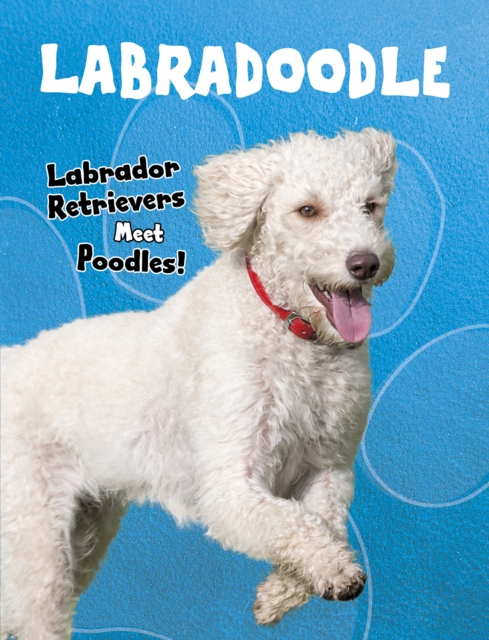 Labradoodle, PDF eBook