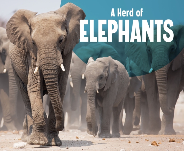 A Herd of Elephants, PDF eBook