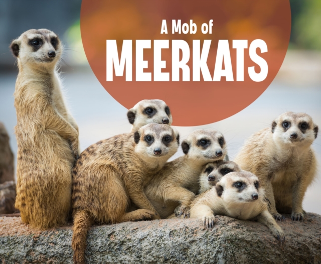 A Mob of Meerkats, PDF eBook