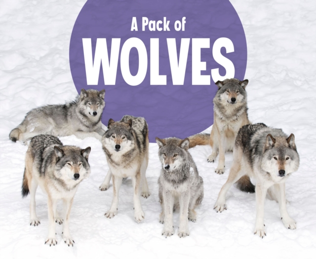 A Pack of Wolves, PDF eBook