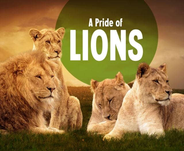 A Pride of Lions, PDF eBook