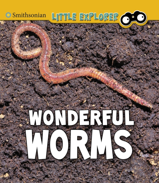 Wonderful Worms, Paperback / softback Book