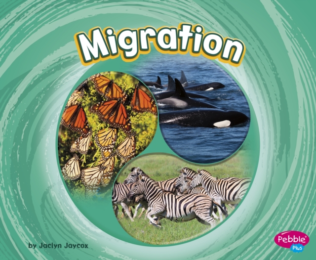 Migration, Paperback / softback Book