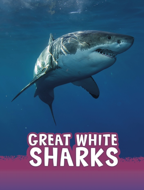 Great White Sharks, Paperback / softback Book