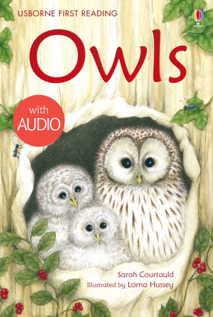 Owls, EPUB eBook