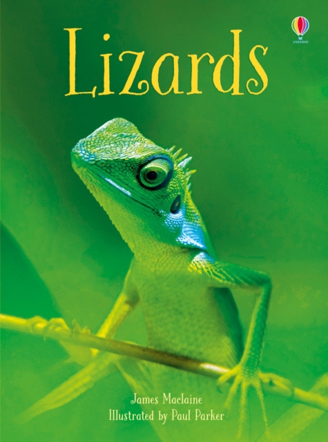 Lizards, Hardback Book