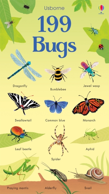 199 Bugs, Board book Book