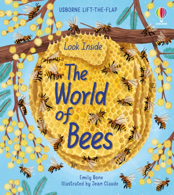 Look Inside the World of Bees, Board book Book