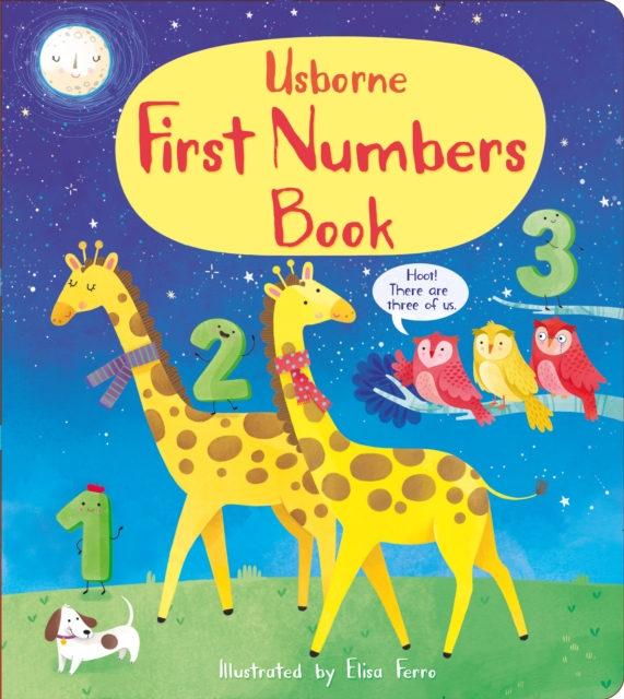 First Numbers Book, Board book Book