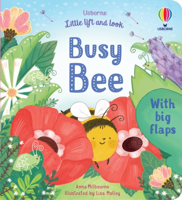 Little Lift and Look Busy Bee, Board book Book