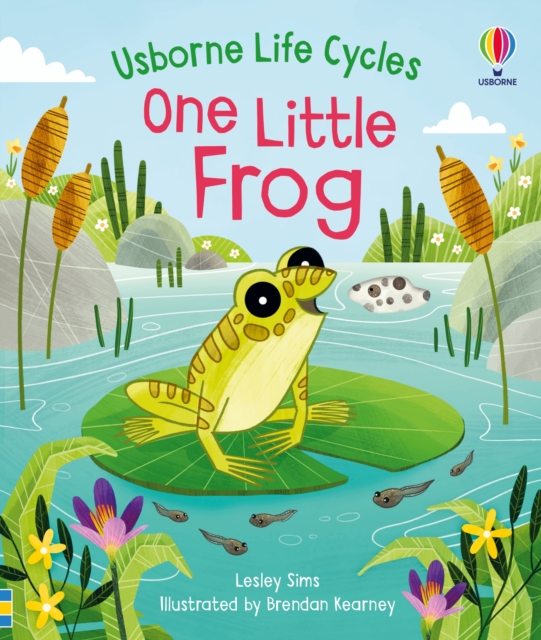 One Little Frog, Board book Book