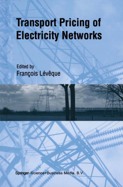 Transport Pricing of Electricity Networks, PDF eBook