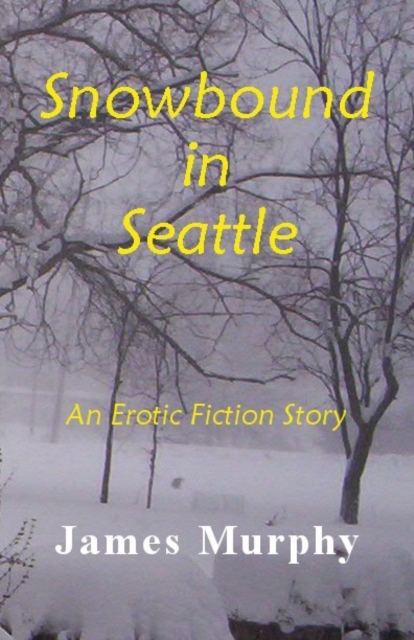 Snowbound in Seattle, EPUB eBook