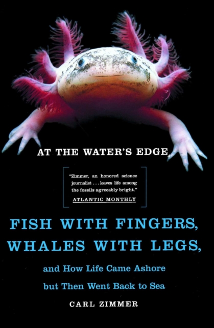 At the Water's Edge : Fish with Fingers, Whales with Legs, and How Life Came Ashore but Then Went Back to Sea, EPUB eBook