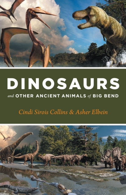 Dinosaurs and Other Ancient Animals of Big Bend, Paperback / softback Book