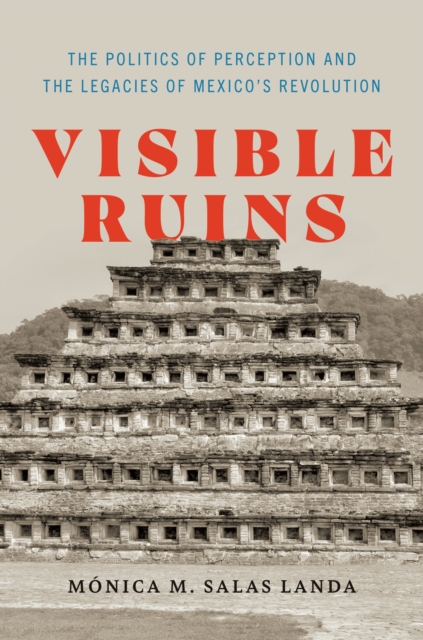 Visible Ruins : The Politics of Perception and the Legacies of Mexico's Revolution, EPUB eBook