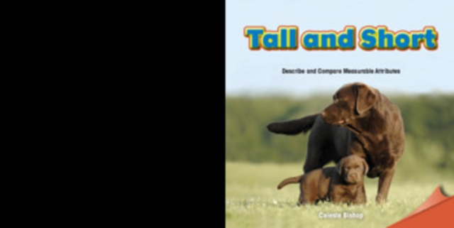 Tall and Short : Describe and Compare Measurable Attributes, PDF eBook