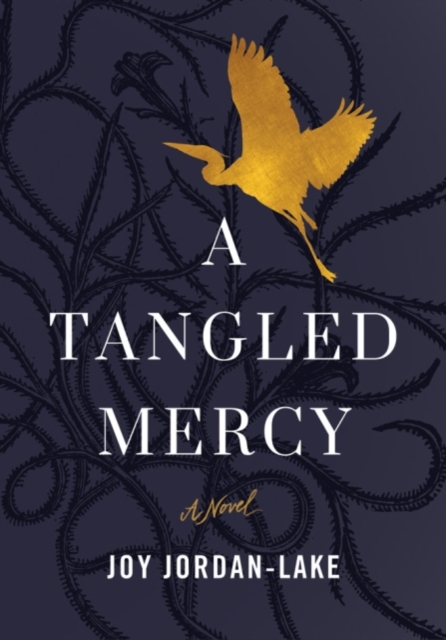 A Tangled Mercy : A Novel, Paperback / softback Book
