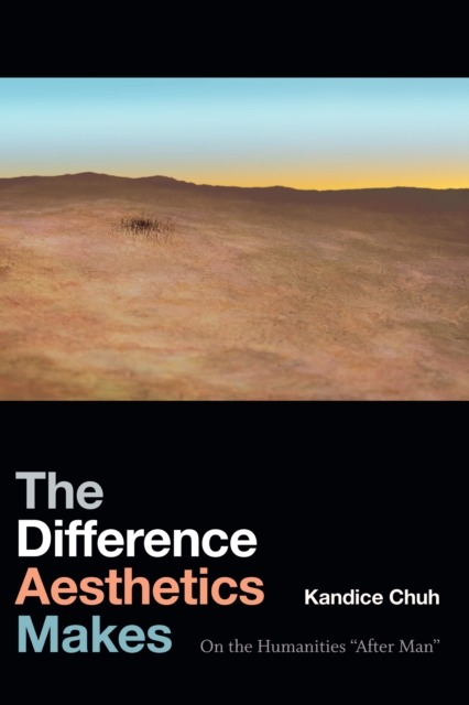 The Difference Aesthetics Makes : On the Humanities “After Man”, Paperback / softback Book
