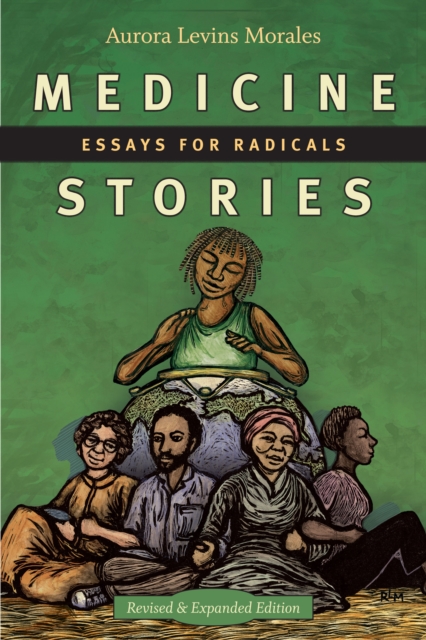 Medicine Stories : Essays for Radicals, PDF eBook