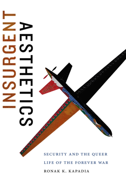 Insurgent Aesthetics : Security and the Queer Life of the Forever War, PDF eBook