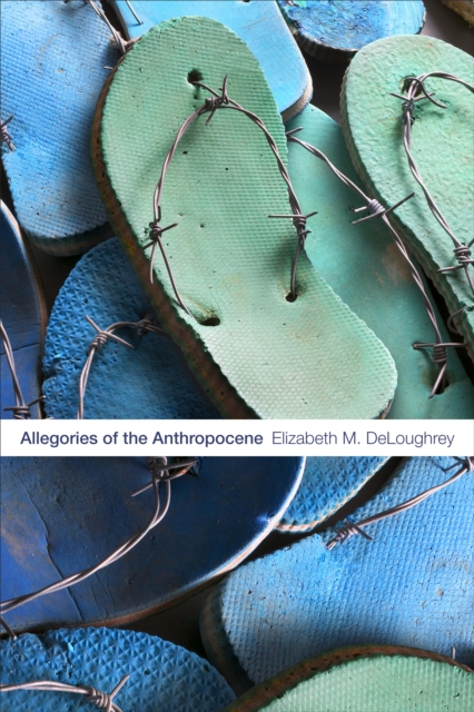 Allegories of the Anthropocene, PDF eBook