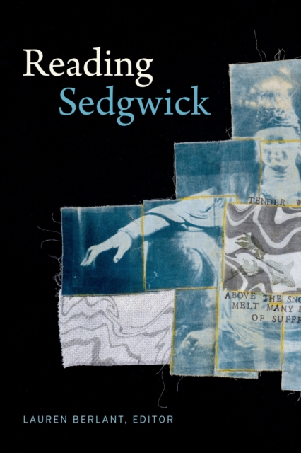 Reading Sedgwick, Paperback / softback Book