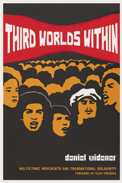 Third Worlds Within : Multiethnic Movements and Transnational Solidarity, Paperback / softback Book